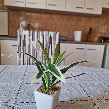 Mara Apartment *